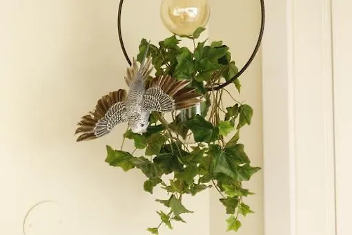 Отель Pousada Vila Obidos 4*